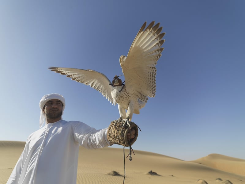 Desert Safari